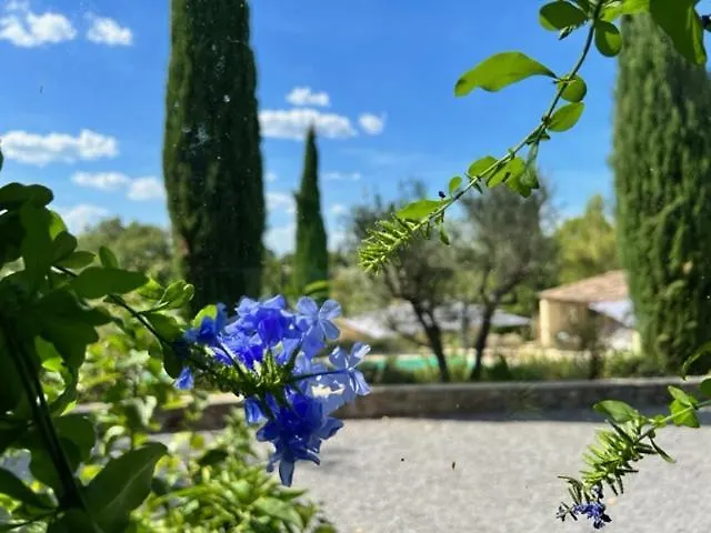 Studio Apartment In The South Ardeche Saint-Andre-de-Cruzieres 0*,  Francia